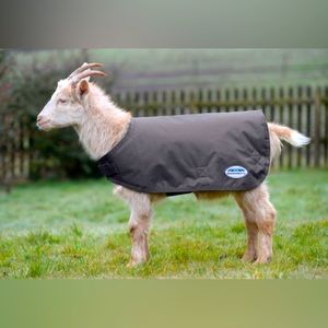 Goat Coat SMALL Weatherbeeta GREY